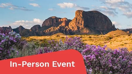 Following rainfall, the desert comes alive with color as sagebrush and ocotillo bloom with the Chisos Mountains in the background.