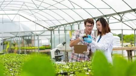 agriscience professionals in a greenhouse