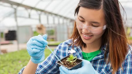 horticulture student examining a seedling