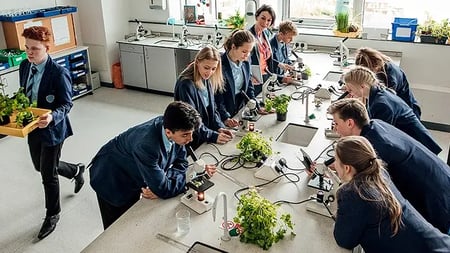 Students in a science classroom working together on plant experiments