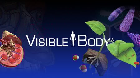 visible body logo over science illustrations