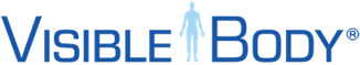 visible_body_logo_transparent_500