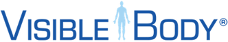 visible_body_logo_transparent_500