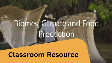 Fishermen at sea use large nets to catch fish.