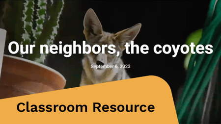 A coyote surrounded by greenery. 