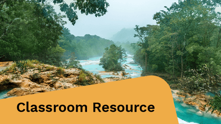 A serene river flows through a lush forest, surrounded by tall trees and scattered rocks.