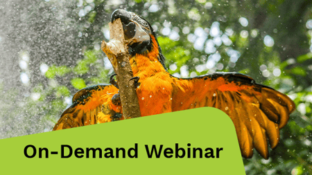 Yellow bird perched on a twig.