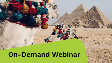 A pair of camels walking in the desert.