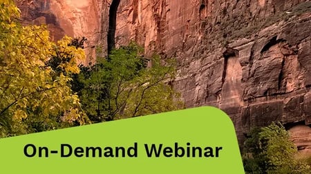 Vibrant trees surrounded by mountains.