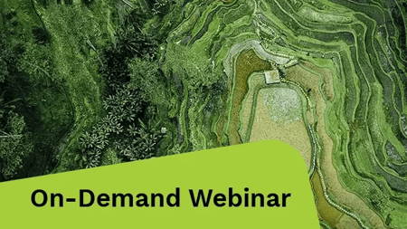 Aerial view of lush green rice terraces in Bali, Indonesia, showcasing intricate patterns and vibrant landscapes.