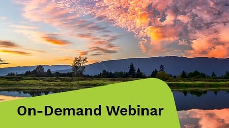 A colorful pink and orange sunset illuminates the open field. 