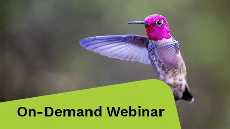 A hummingbird gracefully flies with its wings spread wide against a clear blue sky.