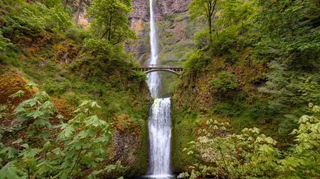 Scenic view of Multnomah Falls with lush greenery and iconic bridge in Oregon, USA, showcasing nature's beauty.