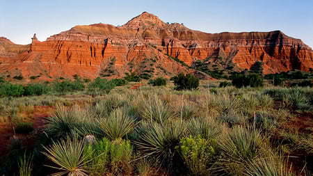 Palo Duro Canyon in Texas