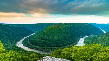 Verdant forest in the New River Gorge National Park in West Virginia