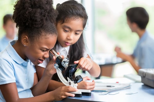 Focused students help one another with their assignment in science class at a STEM elementary school. 